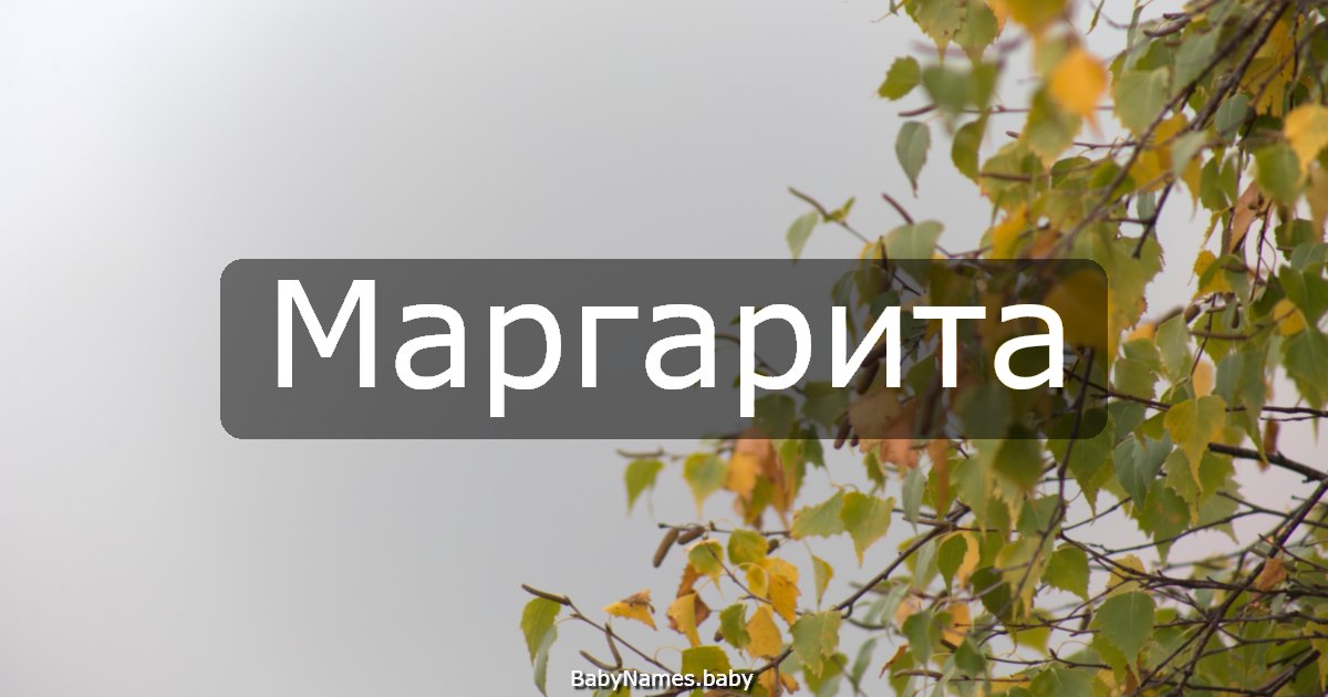 Маргарита